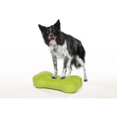FitPAWS K9FITbone M koiran tasapainoalusta