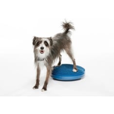 FitPAWS dog balance board ⌀36 cm