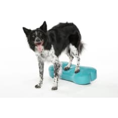 FitPAWS K9FITbone M koiran tasapainoalusta