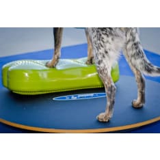 FitPAWS K9FITbone M koiran tasapainoalusta