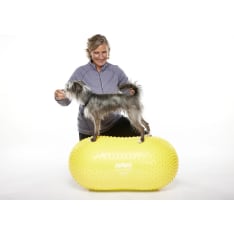 FitPaws balance board Peanut Trax yellow 40cm