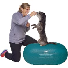 FitPaws Peanut Trax sininen 60 cm tasapainoalusta
