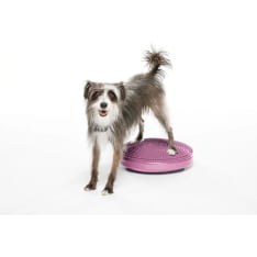 FitPAWS koiran tasapainolevy ⌀36 cm