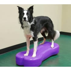 FitPAWS K9FITbone XL koiran tasapainoalusta