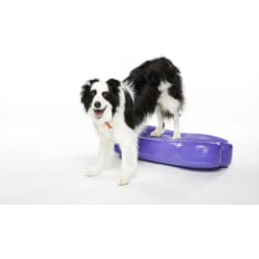 FitPAWS K9FITbone XL koiran tasapainoalusta