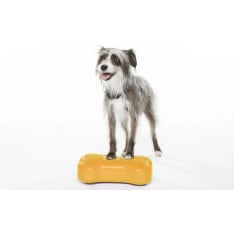 FitPAWS K9FITbone Mini dog balance board 2pcs