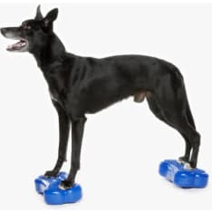 FitPAWS K9FITbone Mini dog balance board 2pcs