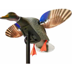 MOJO Mini Mallard Drake moottorisorsa