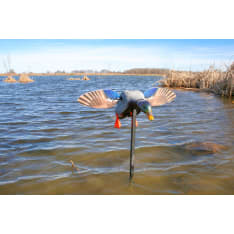MOJO Elite Series Mini Mallard Drake moottorisorsa
