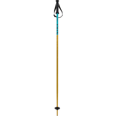 Völkl Phantastick Kids ski poles -24