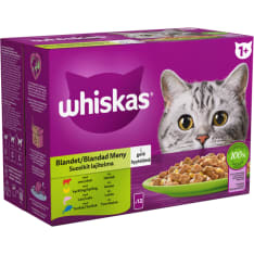 WHISKAS 1+ 12 x 85 g Suosikit lajitelma hyytelössä kissan märkäruoka
