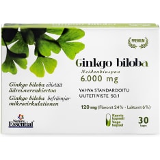 Nature Essential Ginkgo Biloba 30 caps. dietary supplement