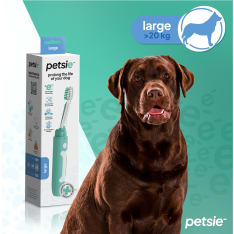 Petsie toothbrush for dog