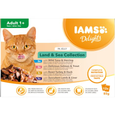 Iams Cat Delights Jelly Multipack Land & Sea 12 x 85 g kissan märkäruoka