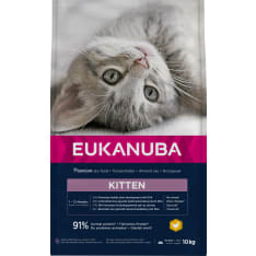Eukanuba Cat Kitten 10 kg Kitten Dry Food