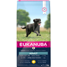 Eukanuba Dog Adult Large 15 kg Dog Dry Food