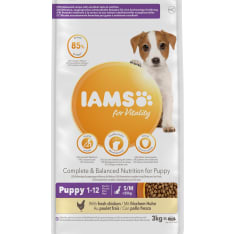 Iams Dog Puppy Small & Medium 3 kg koiran kuivaruoka