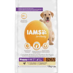 Iams Dog Puppy Large 12 kg koiran kuivaruoka
