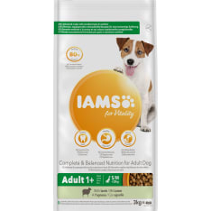 Iams Dog Small & Medium Lamb 3 kg koiran kuivaruoka