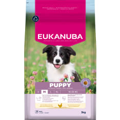 Eukanuba Dog Puppy Medium 3 kg koiran kuivaruoka