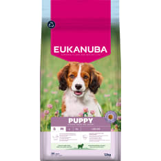 Eukanuba Dog Puppy Sm/med Lamb & Rice 12 kg koiran kuivaruoka