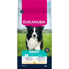 Eukanuba Dog Adult Medium 3 kg koiran kuivaruoka