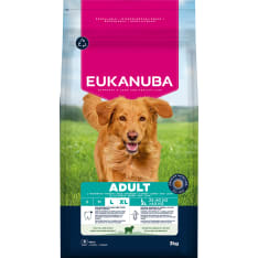 Eukanuba Adult Large Lamb & Rice 3 kg