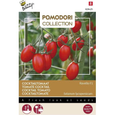 Buzzy Pomodori coctailtomaatti Ravello F1