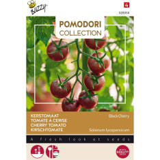 Buzzy Pomodori kirsikkatomaatti Black Cherry