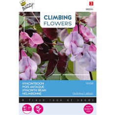Buzzy® Climbing Flowers Beautiful flowers, hyacinth flowers