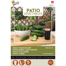 Buzzy® Patio Veggies snack-kurkku Kalimero F1 siemen