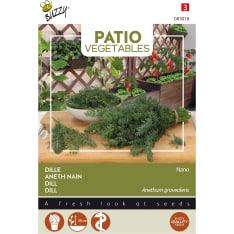 Buzzy® Patio Veggies dill Nano