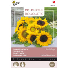 Buzzy® Colorful Bouquets Sunlit Days Sunflower