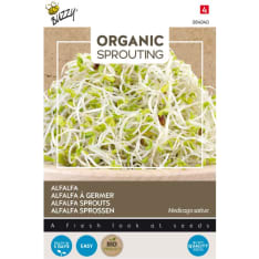 Buzzy® Bio Sprouting alfalfa