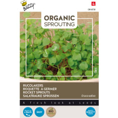 Buzzy® Bio Sprouting sinappikaali rukola siemen