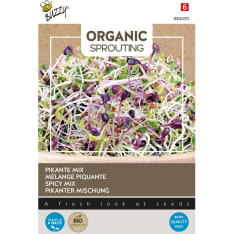 Buzzy® Organic Sprouting Salad Mixed pikant