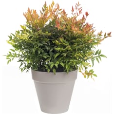 Elho Loft Urban 30 cm Ruukku