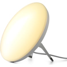 Fysic Daylight Lamp