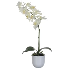 Mica 60cm perhoskämmekkä silkkikukka