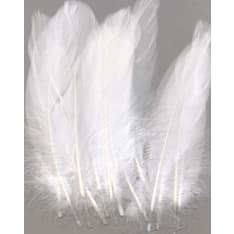 Farnia Plume 12,5-17,5cm, 15st/bag