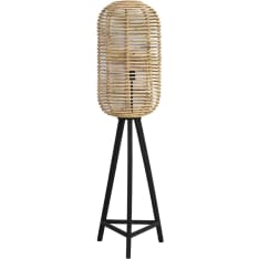 Light&Living Tabana lattiavalaisin