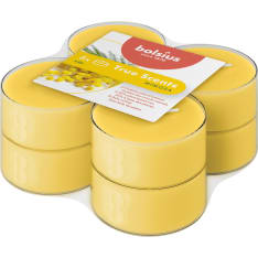 Bolsius True Scents 8 kpl maxi lämpökynttilä