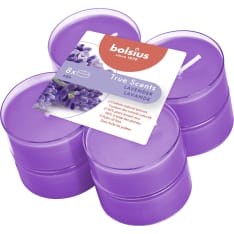 Bolsius True Scents 8 kpl maxi lämpökynttilä