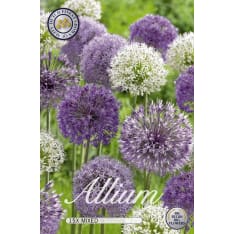 Decorative plant Mixed 15 pcs flower bulb