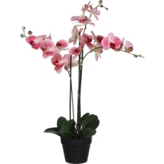 Mica 79cm orkidea silkkikukka