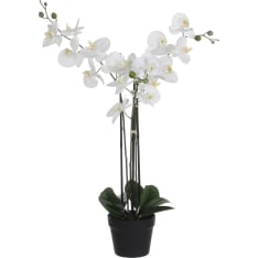 Mica 79cm orchid silk flower