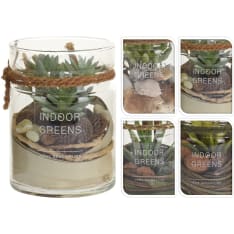 H&S decorative plant in a jar