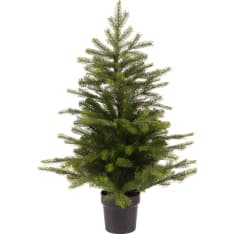 Everlands Grandis 75cm joulukuusi