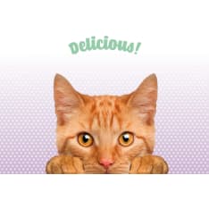 Plenty ginger cat delicious Mat