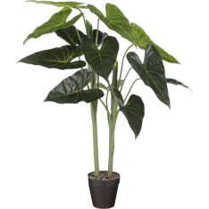 Mica 100x50cm alocasia silkkikukka